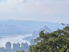 -南山植物园