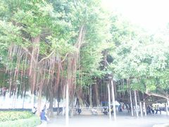 -北部湾广场