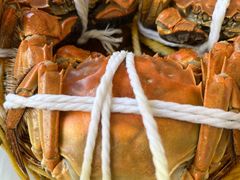 -蟹天蟹地农家菜·阳澄湖大闸蟹(浅水湾店)