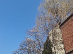 -大酉·M Coffee(北京美术馆店)