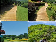 -棒棰岛宾馆景区