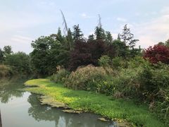 -桤木河湿地公园