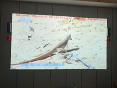 -君之悦·影院式足道·养生SPA(回兴店)