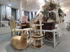 大堂-共舞时光猫咖·狗咖(新街口店)