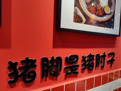 -瑞霖·隆江猪脚饭