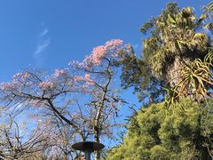 -汉庭顿图书馆