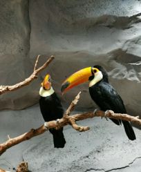 -Zoolung Zoolung动物主题公园(海信广场店)