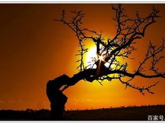 -7天酒店(上海江宁路地铁站玉佛寺店)