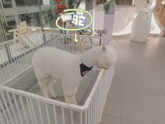 -Side Street街旁(交道口店)