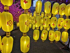 -平乐古镇
