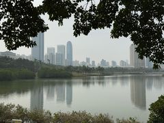 -万绿园