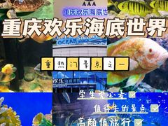 -重庆欢乐海底世界