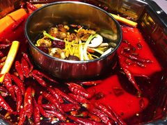 双人锅鸳鸯-蜀九香火锅(九眼桥店)