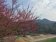 -五泄景区