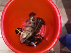 -新雅粤菜馆(南京东路店)