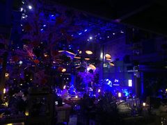-胡桃里音乐酒馆(星湖北一里店)
