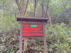 -姑婆山旅游区
