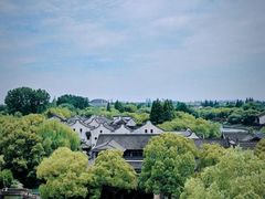-乌镇西栅景区