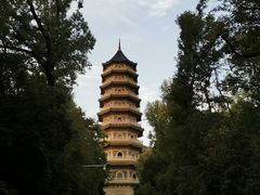 -灵谷景区