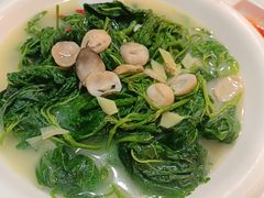 -津津菜馆(绝没分店)