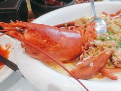 波龙-嘉逸传菜(洛川东路店)