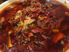 -庆合府重庆大排档(紫都城店)