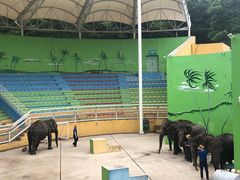 -大连森林动物园