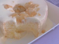 -糕小爱·动物奶油生日蛋糕定制(合肥总店)