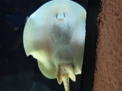 -上海海洋水族馆