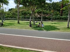 -野狸岛