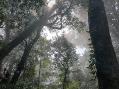-云南屏边大围山国家公园