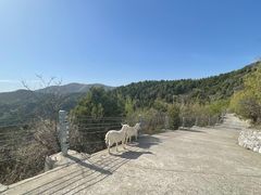 -北京西山国家森林公园