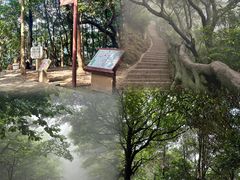 -梧桐山风景名胜区