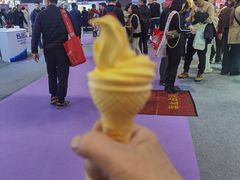 -国家会展中心（上海）虹馆EH