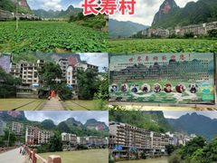 -长寿村