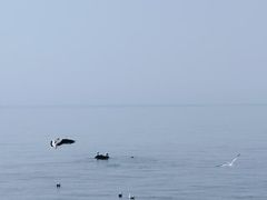 -银沙滩浴场