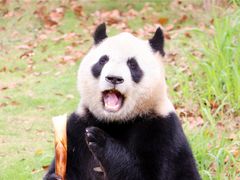 -杭州野生动物世界