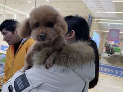 -它主义宠物(梁溪万达店)