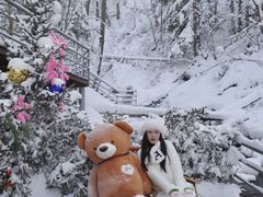 -峡谷浮石林景区