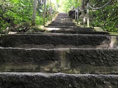 -七仙岭温泉国家森林公园