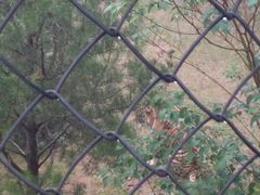 -石家庄市动物园