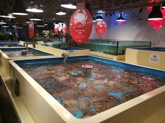 水产区-日进一片海.生腌海鲜火锅.宵夜烧烤(三里屯总店)
