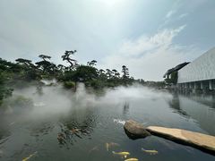 -罗红摄影艺术馆