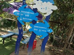 -广东惠东海龟国家级自然保护区
