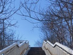 -天津东丽湖风景区