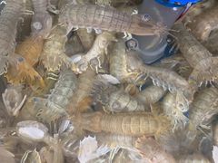 -宾朋海鲜特色美食餐厅·纯手工鲅鱼水饺(兴海路店)