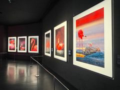 -罗红摄影艺术馆