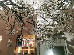 -梅花境(万科店)