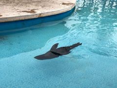 -南京金牛湖风景区