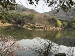 -白马涧龙池景区